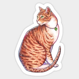 The watercolor cat Sticker